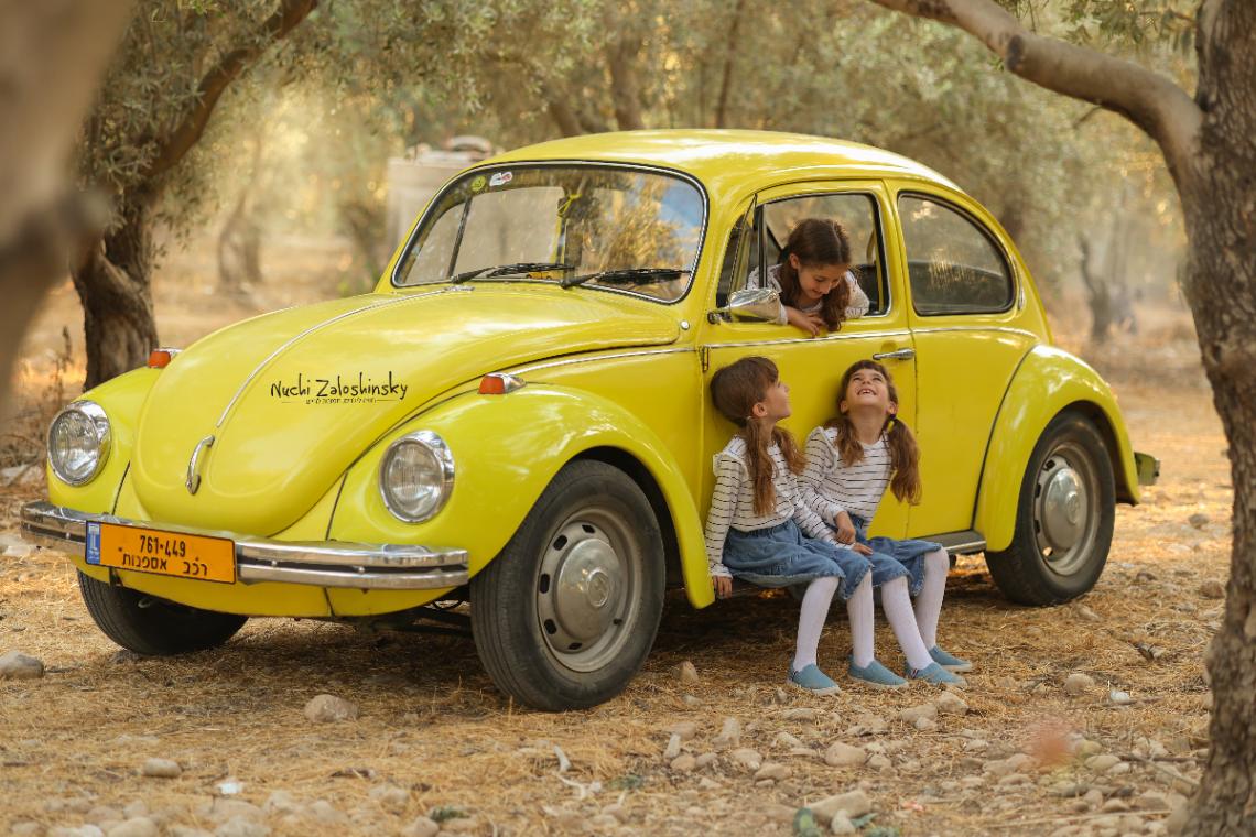 תיק עבודות - 26