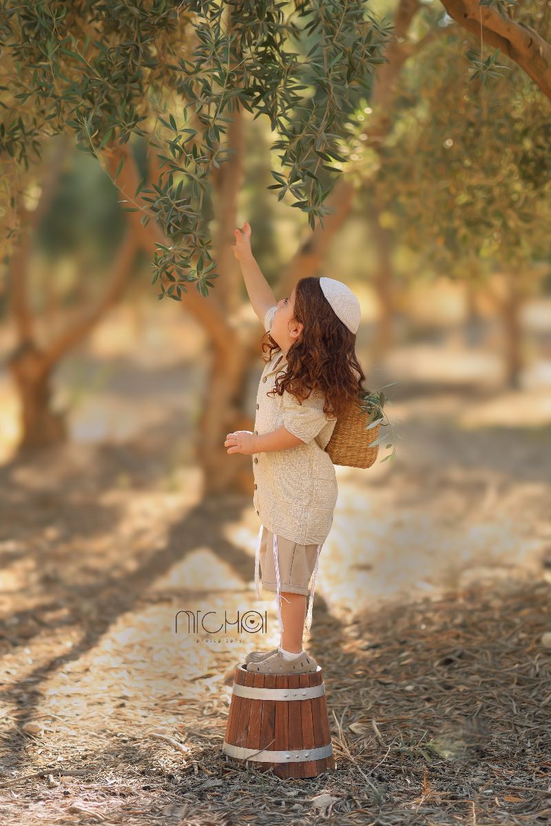 חוץ - 32