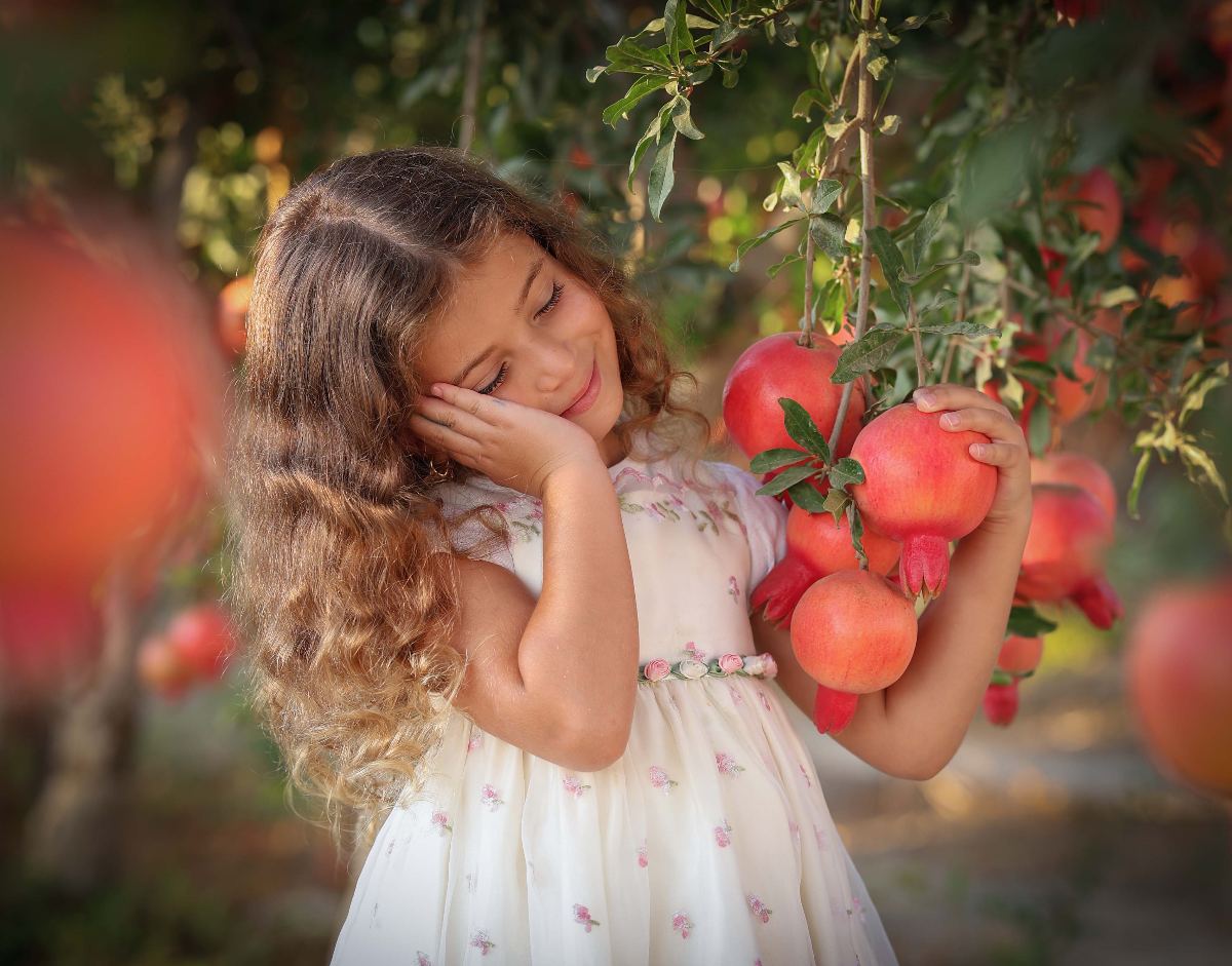 אוירת חג