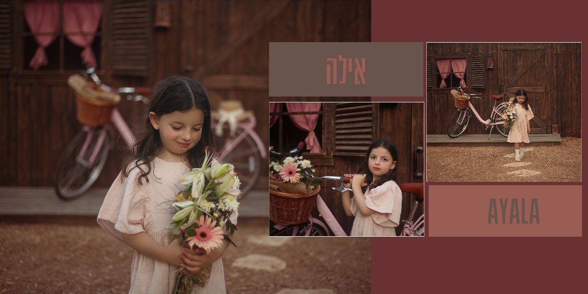 אלבומים