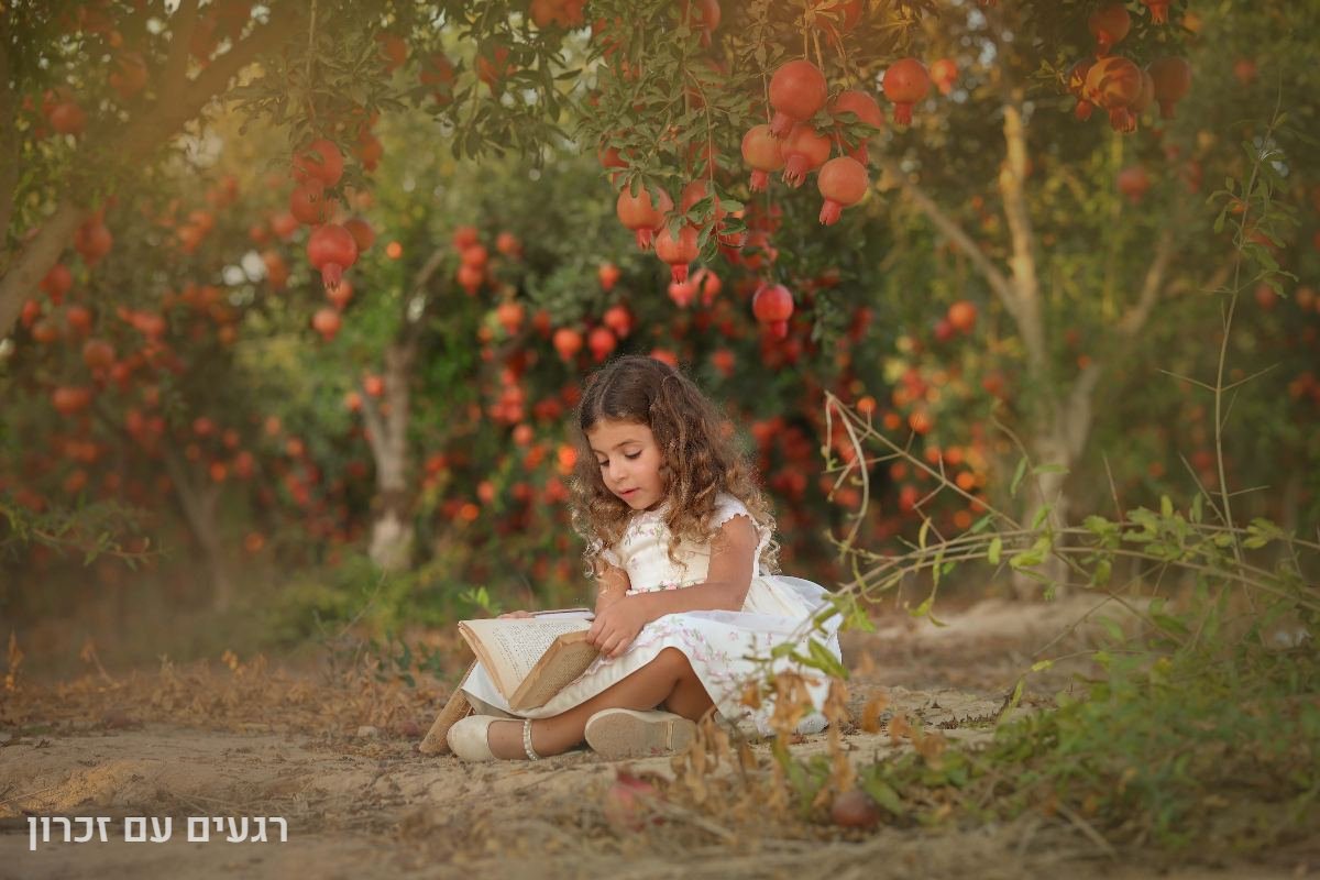 תיק עבודות - 15
