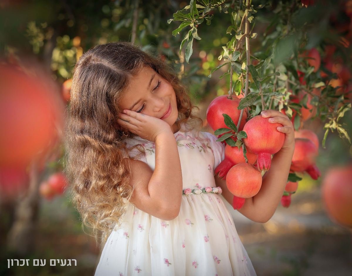 תיק עבודות - 11