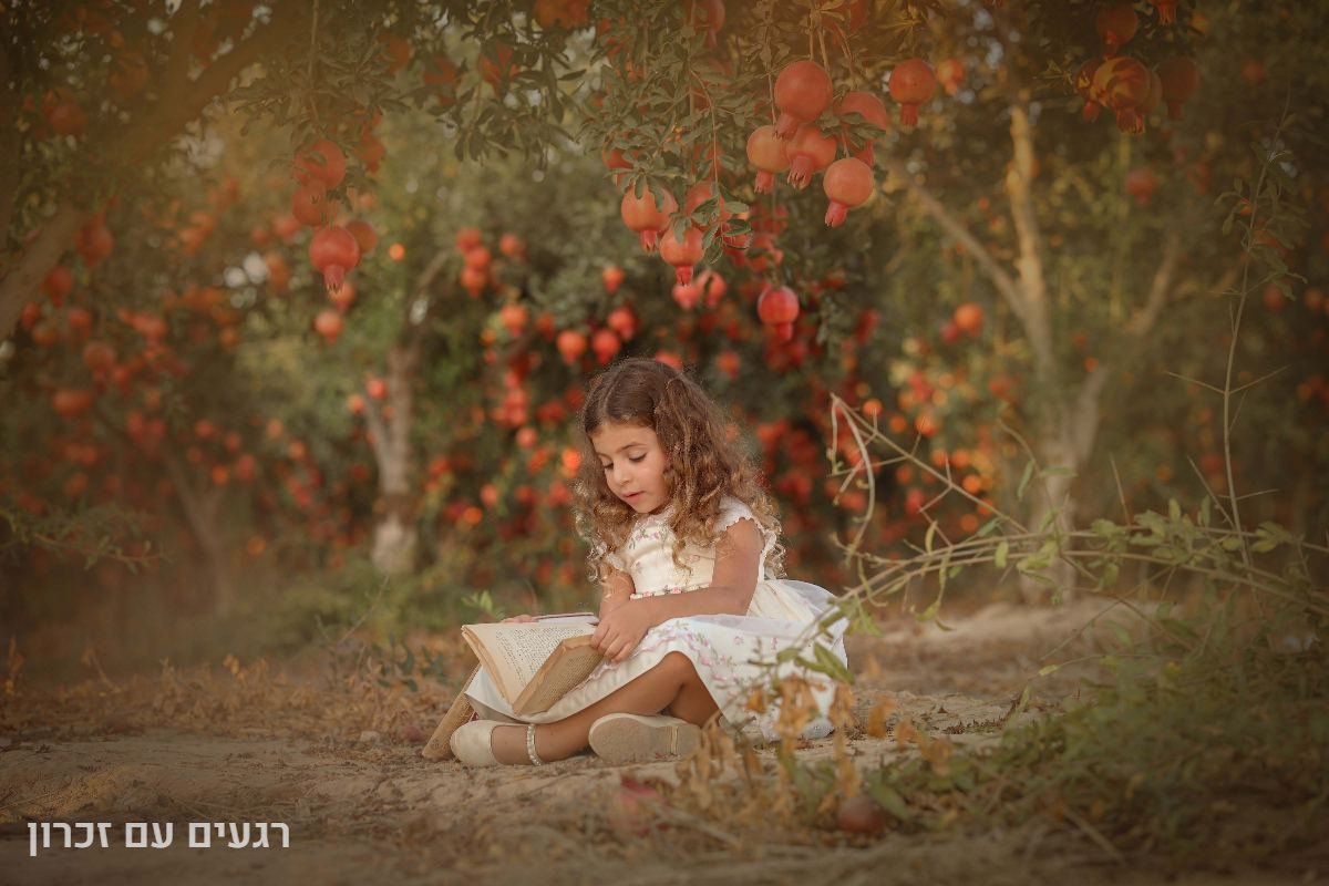 תיק עבודות - 17