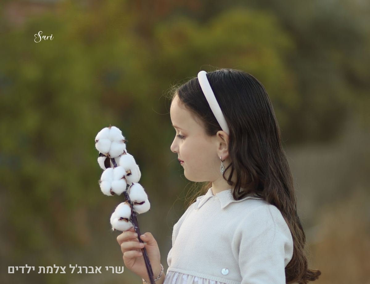 תיק עבודות - 11