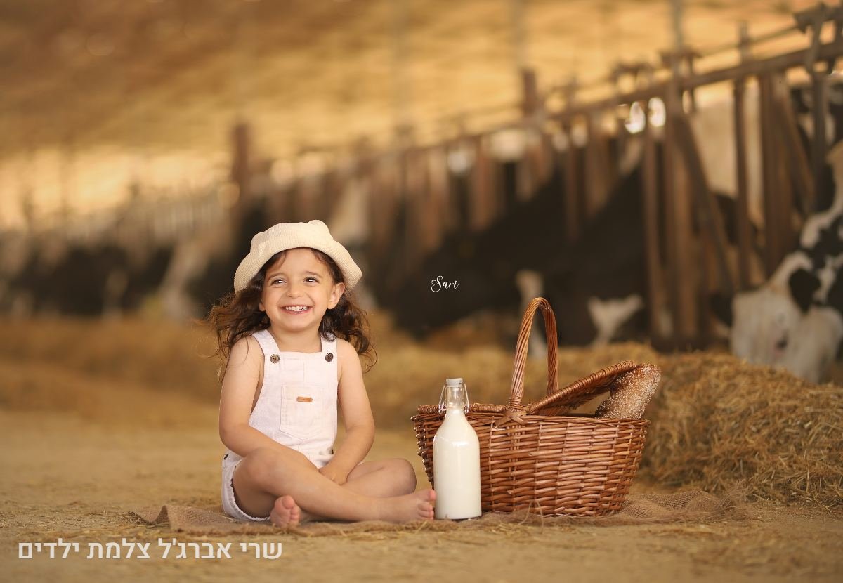 תיק עבודות - 25