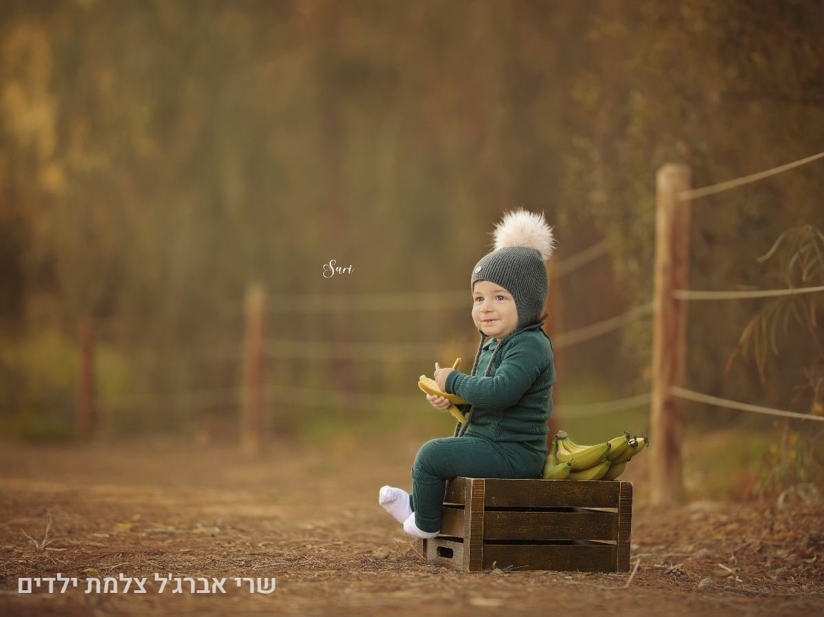 תיק עבודות - 24