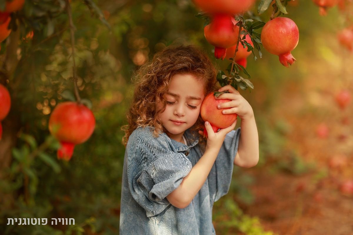 תיק עבודות - 3