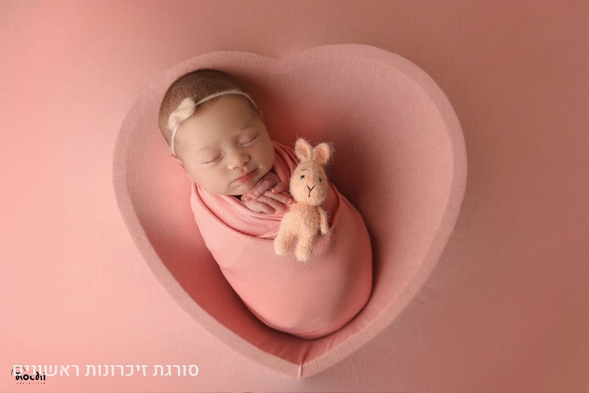 תיק עבודות - 14