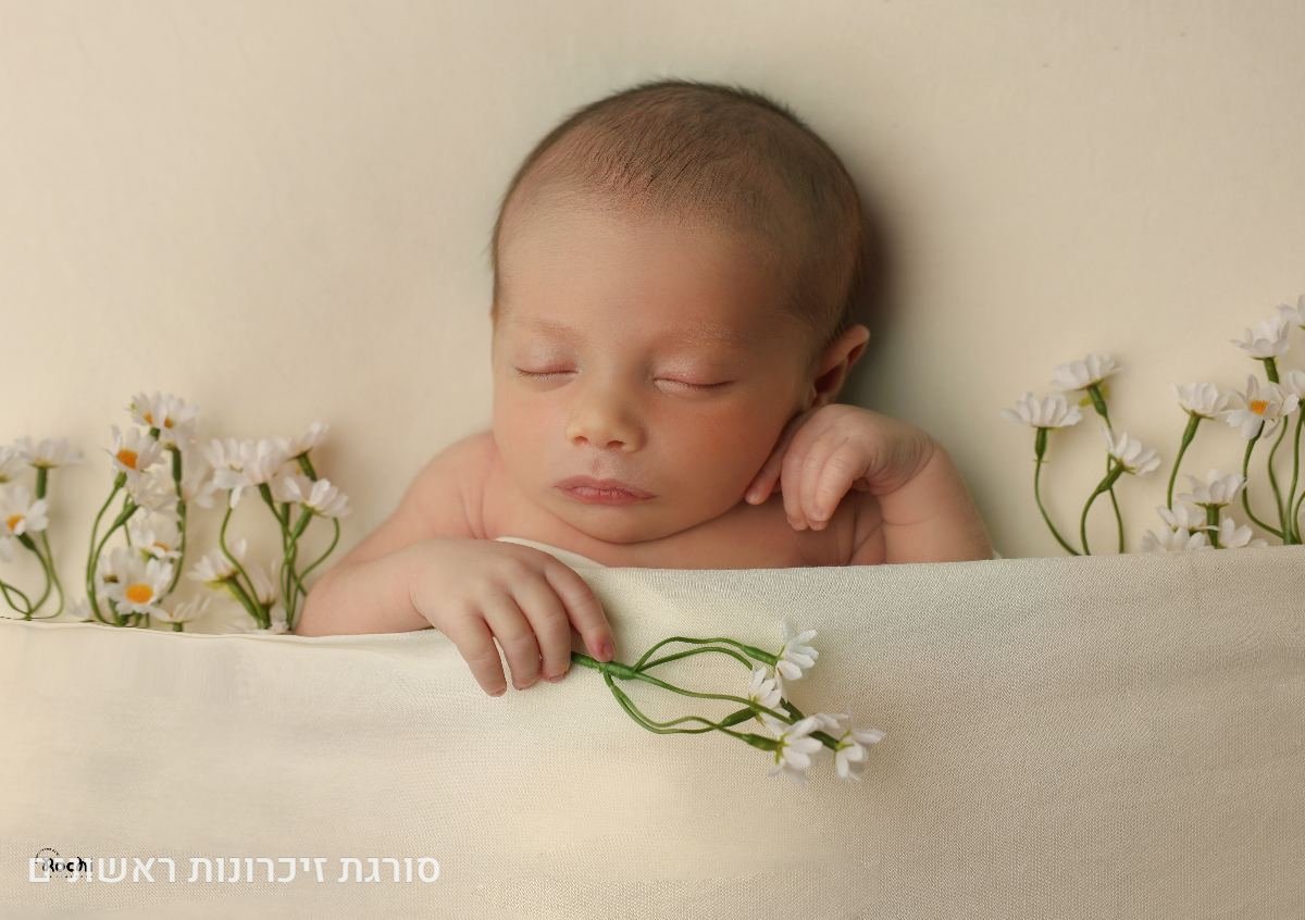 תיק עבודות - 74