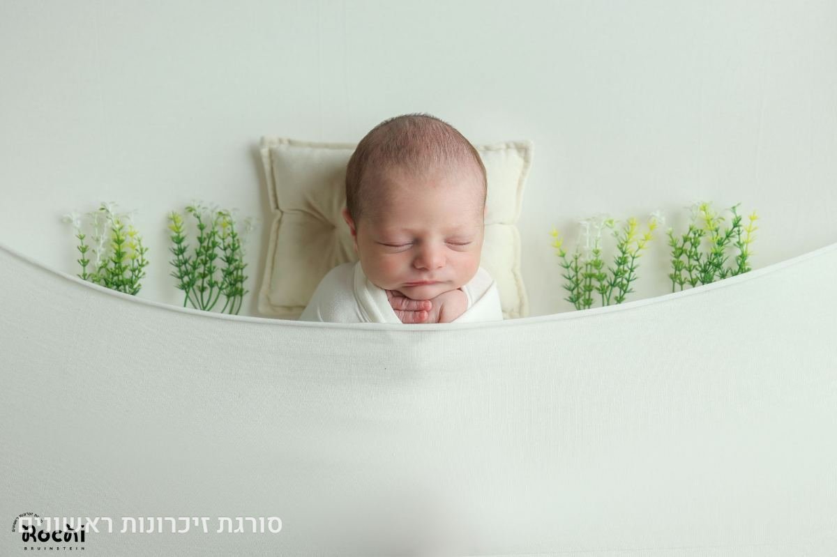 תיק עבודות - 20