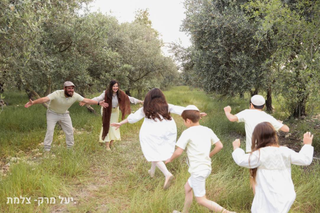 תיק עבודות - 2