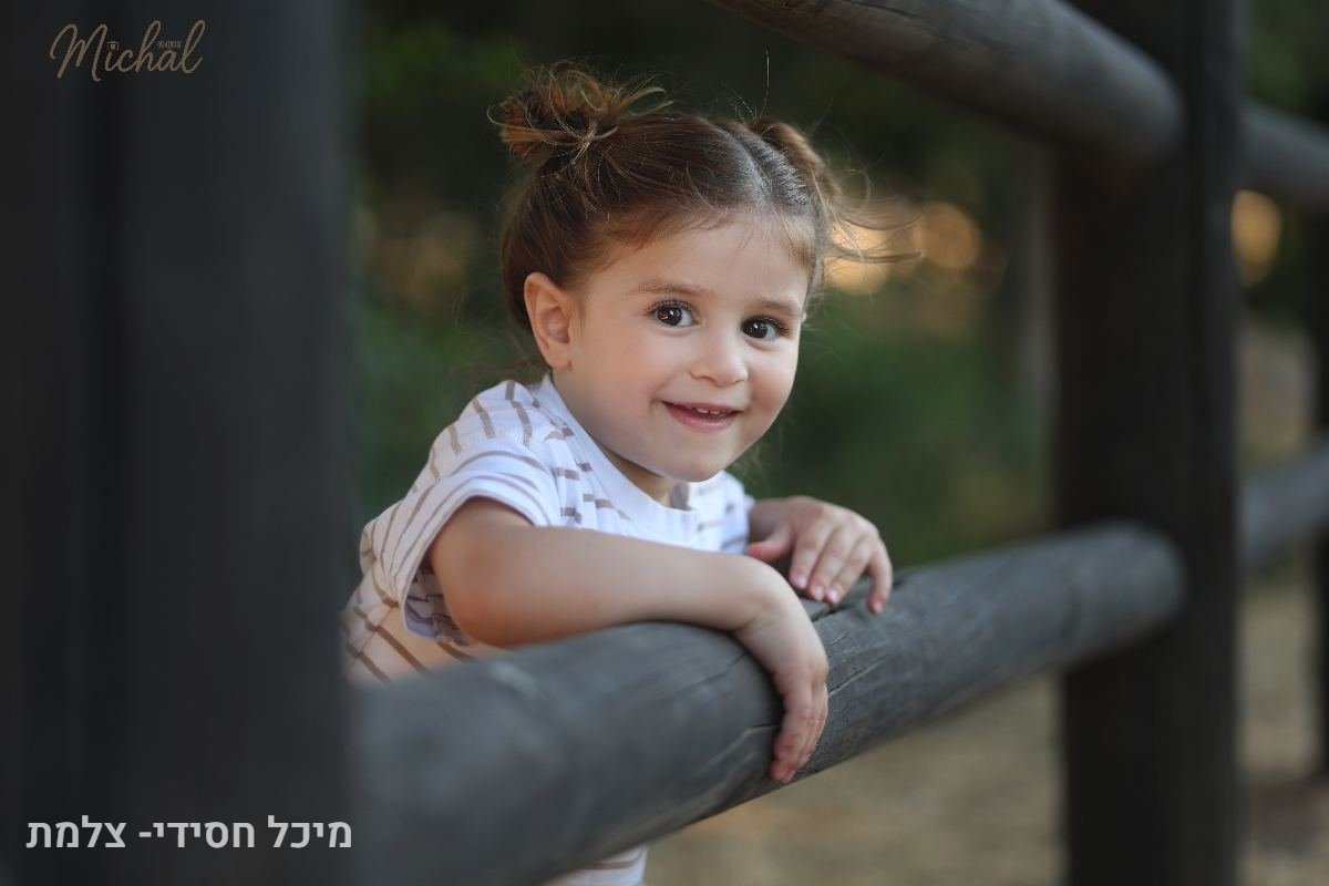 הכל - 47