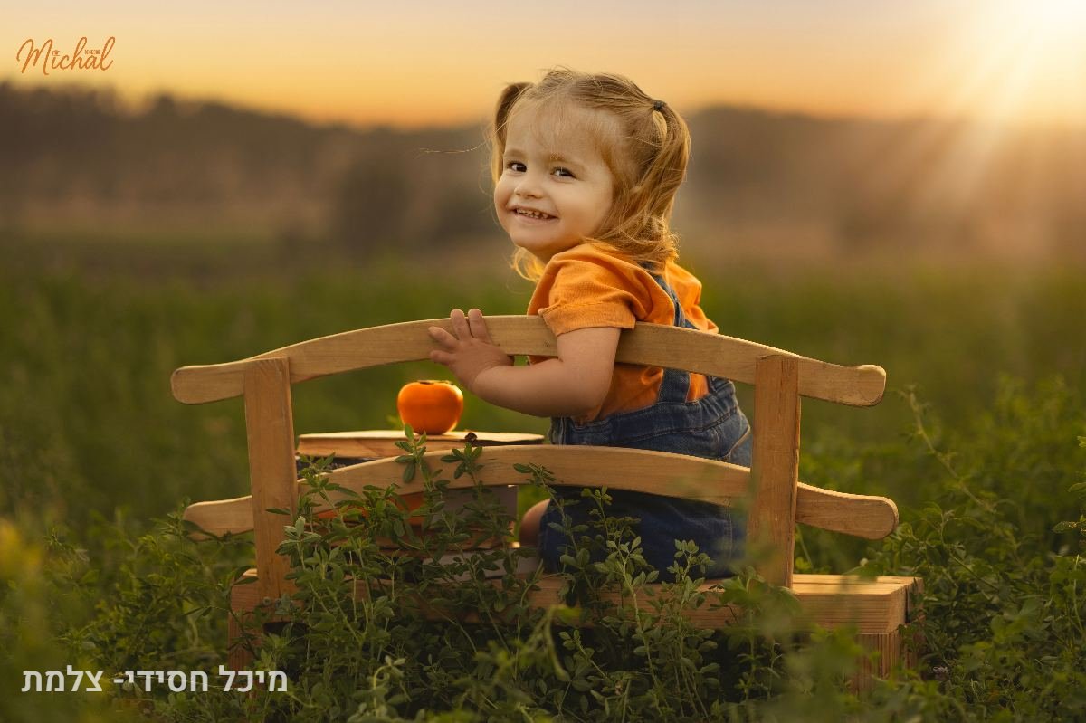 הכל - 65