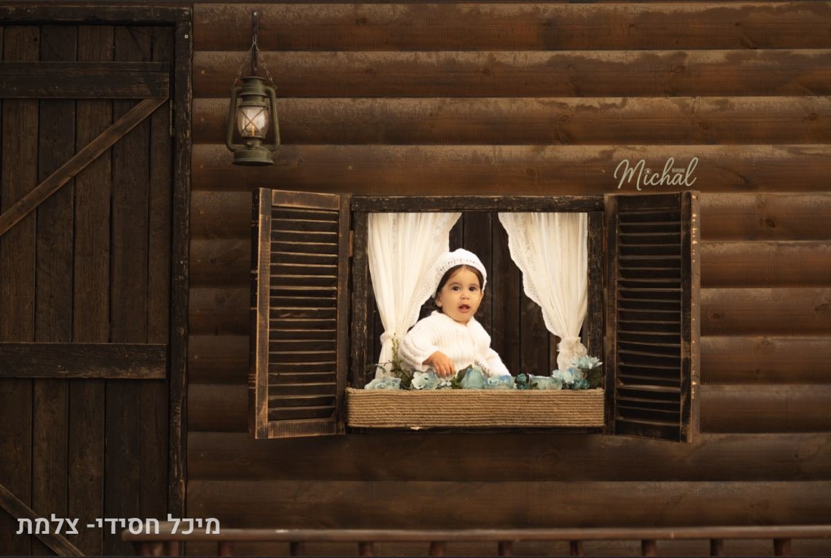 הכל - 26