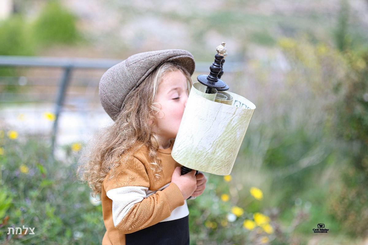 תיק עבודות - 2