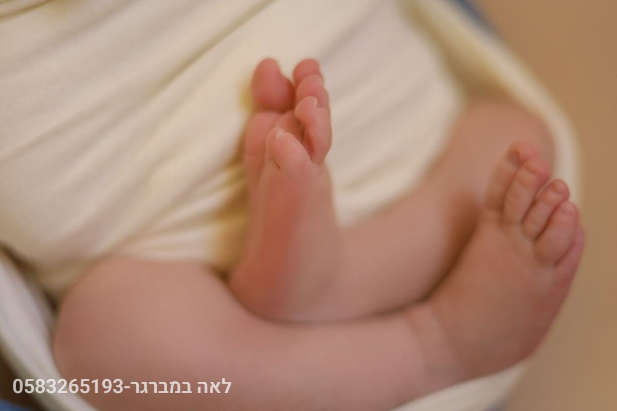 ניו בורן - 13