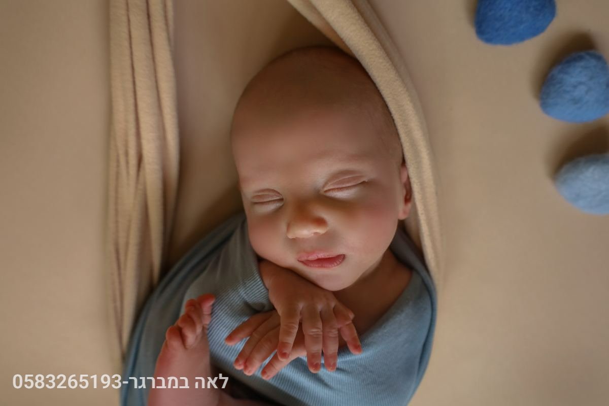 ניו בורן - 17