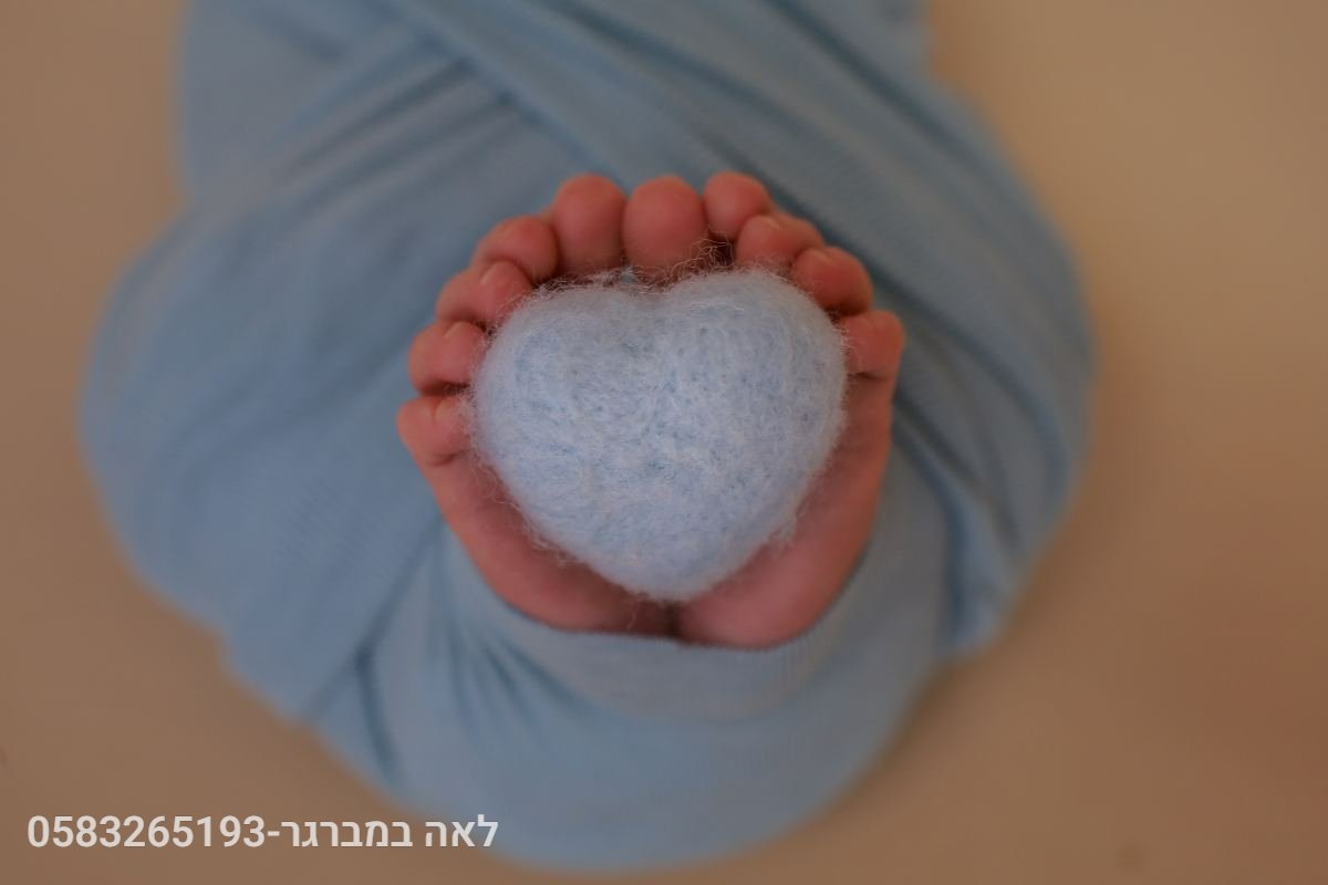ניו בורן - 21