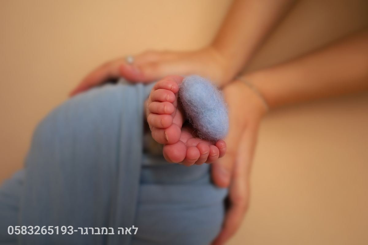 ניו בורן - 28