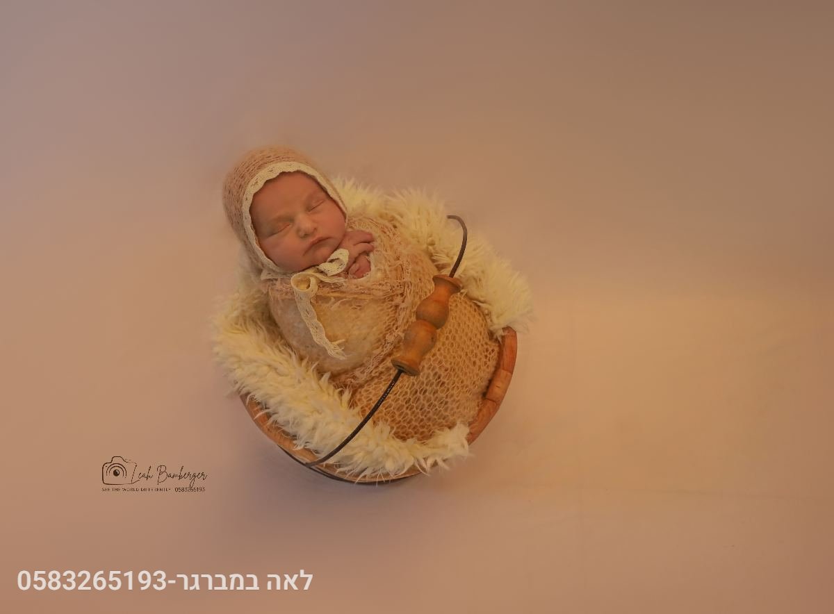 ניו בורן - 29