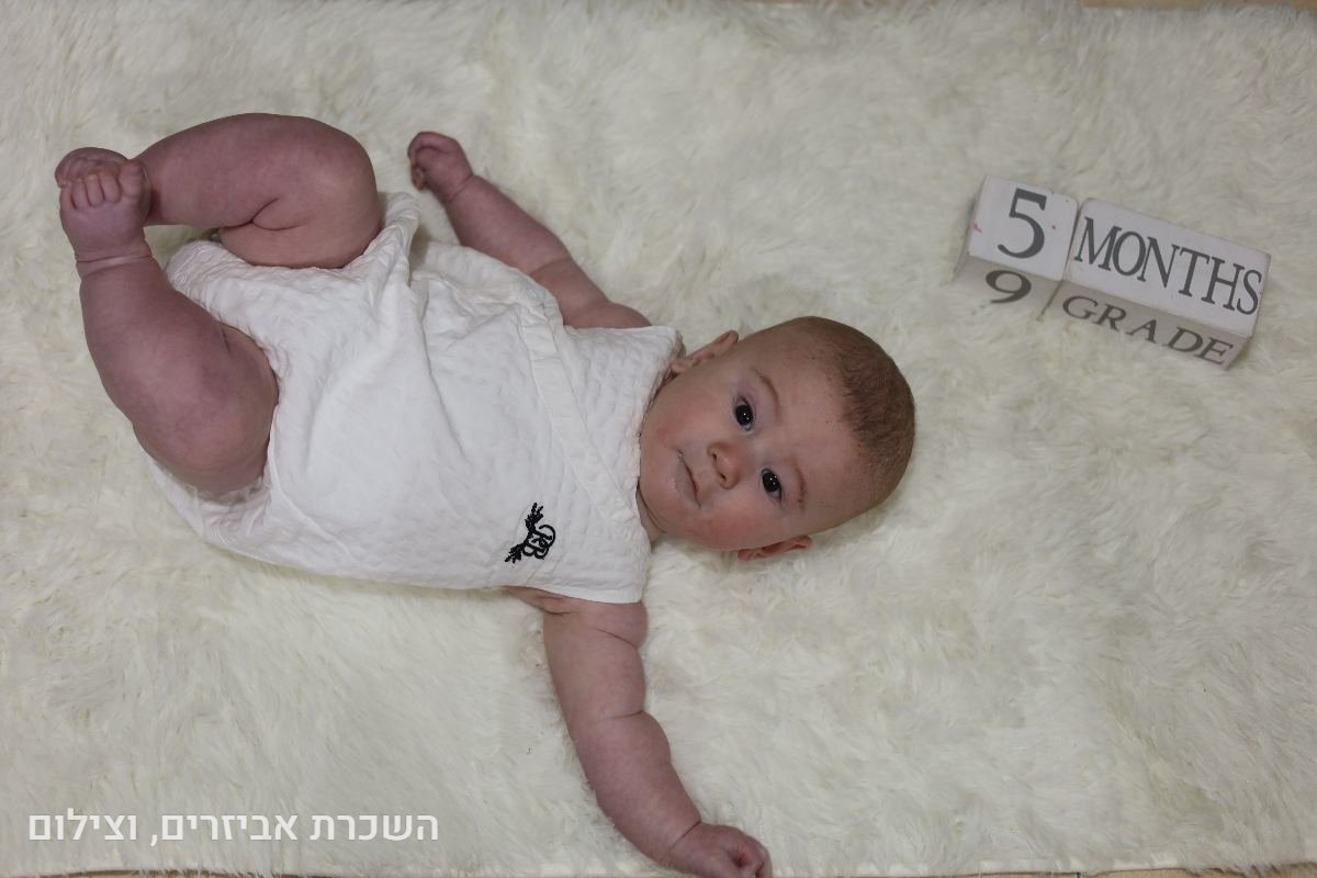 תיק עבודות - 95