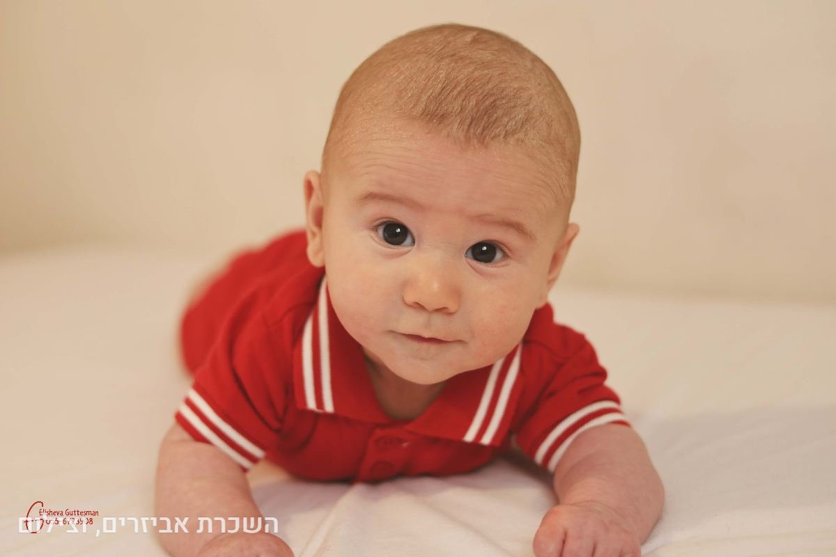תיק עבודות - 61