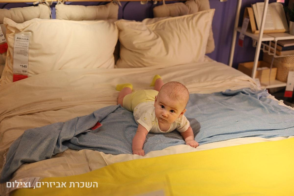 תיק עבודות - 86