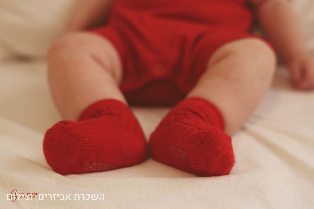 תיק עבודות - 65