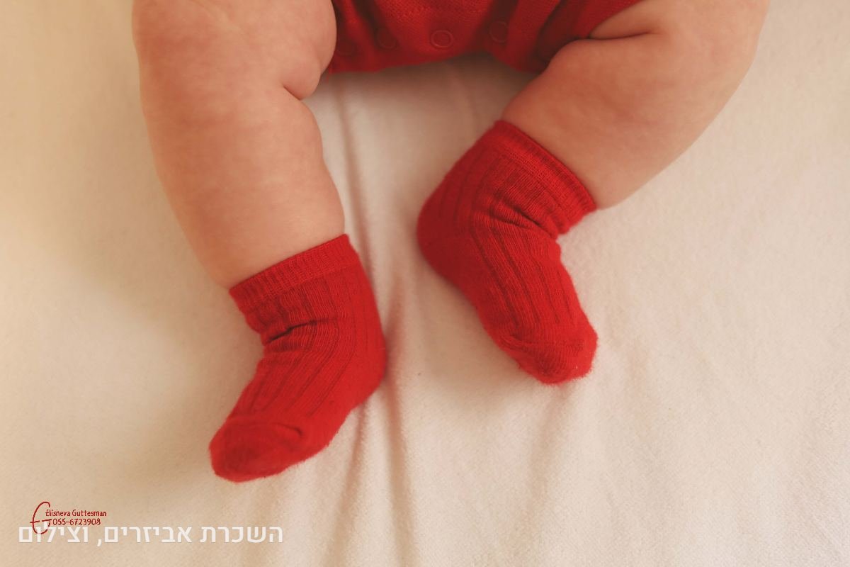 תיק עבודות - 68