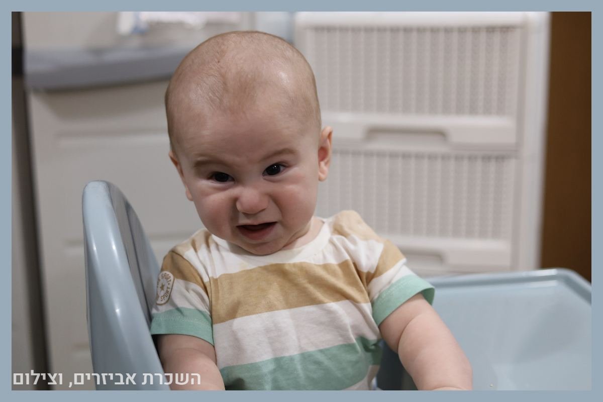 תיק עבודות - 53