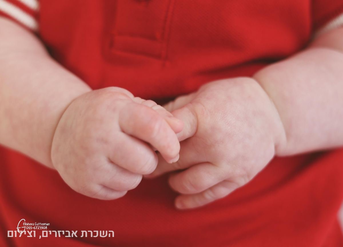 תיק עבודות - 67