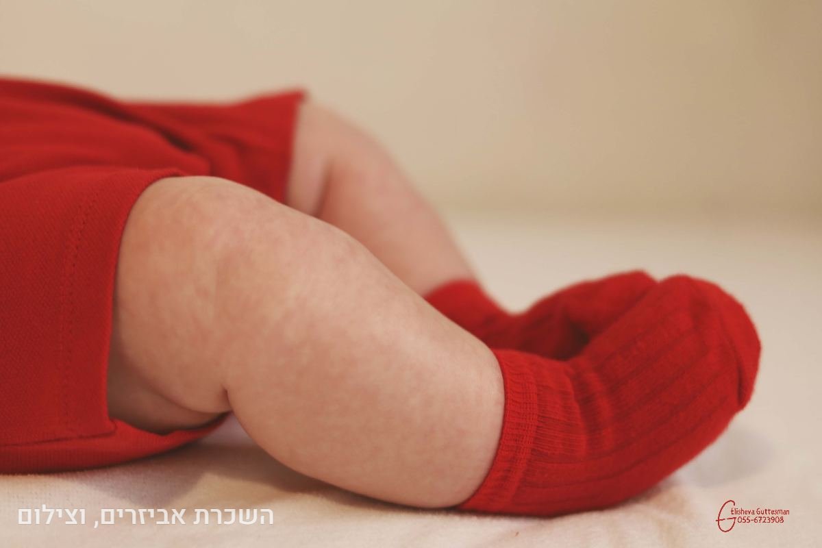 תיק עבודות - 59