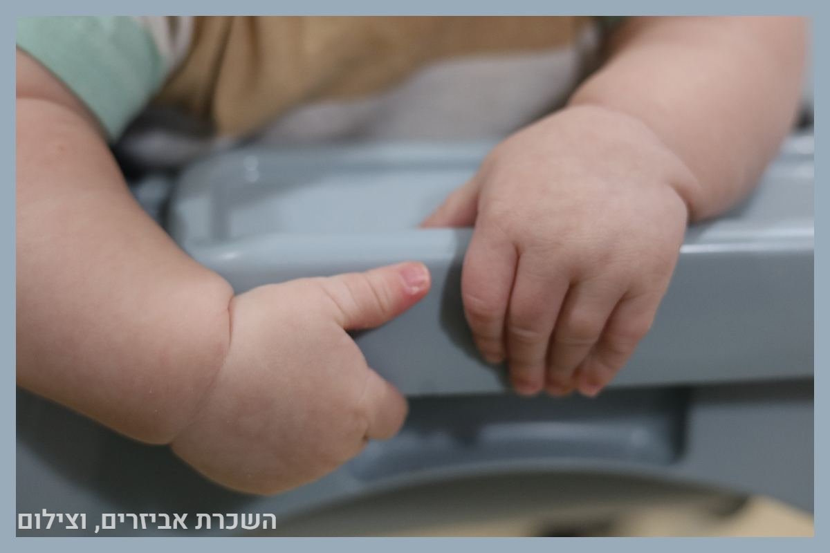 תיק עבודות - 51