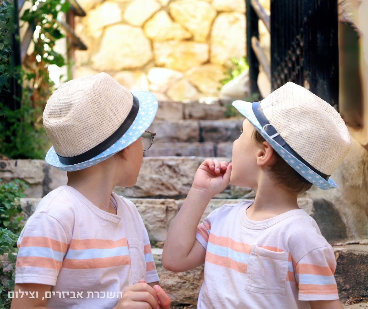 תיק עבודות - 3
