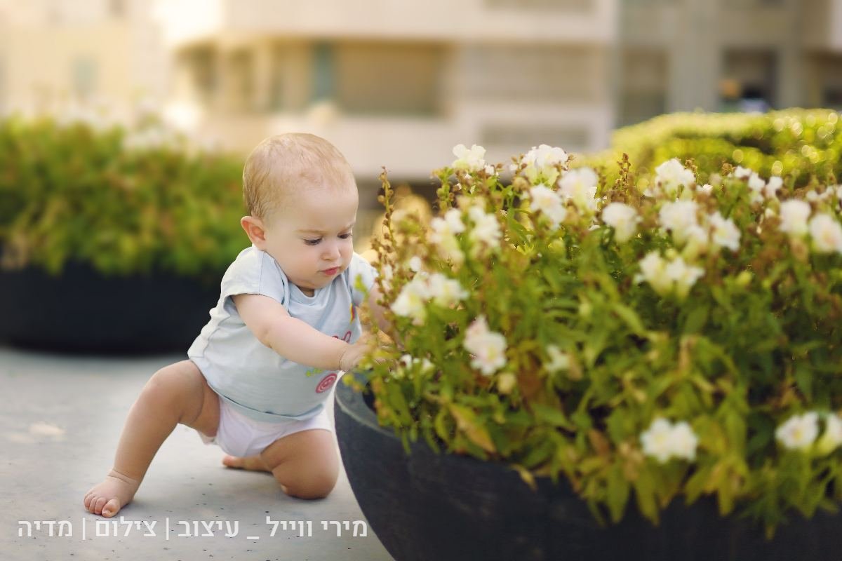 צילומי חוץ - 16