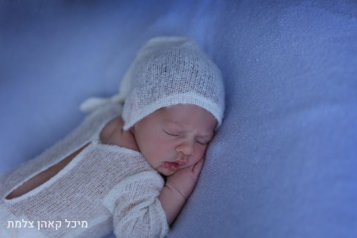 ניו בורן - 4