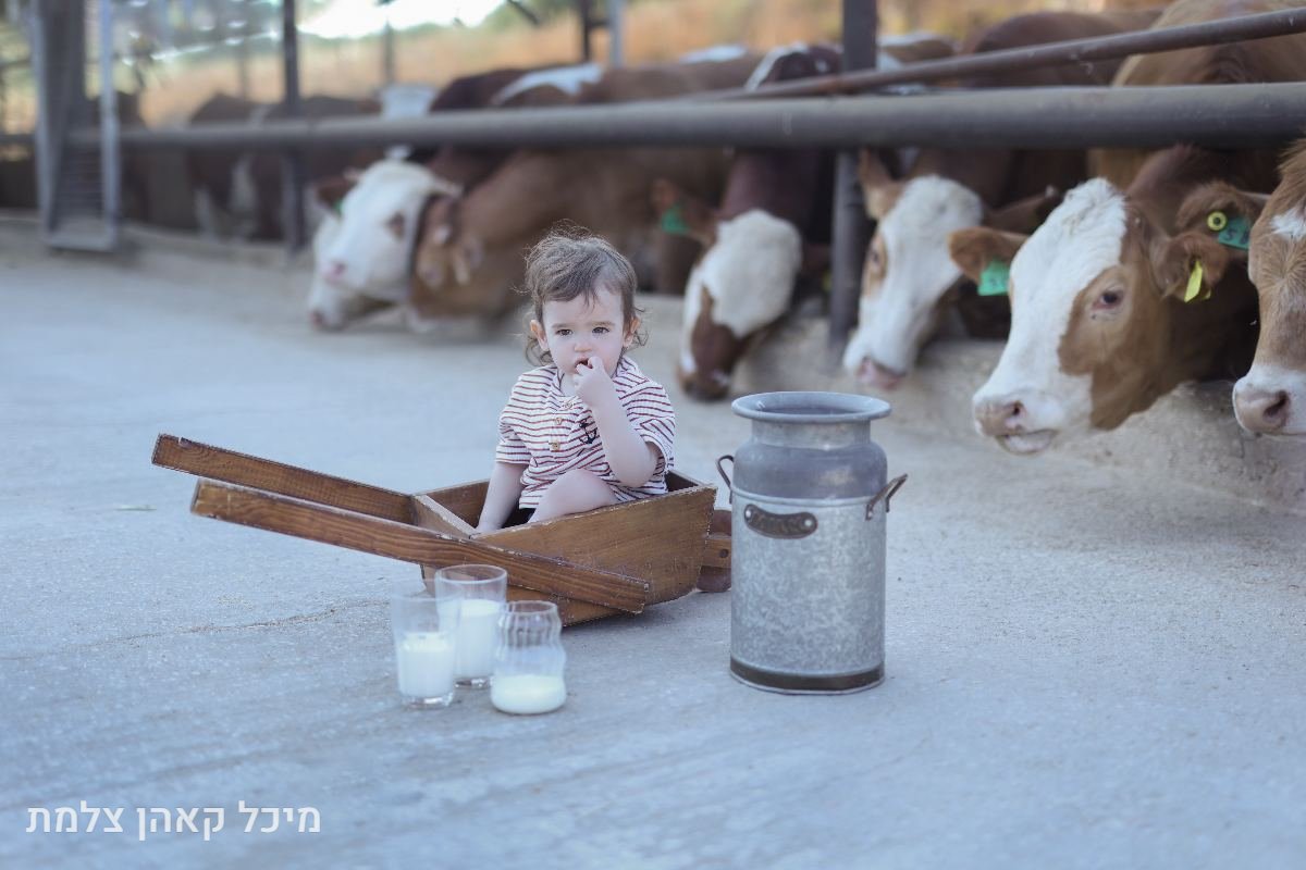 חלאקה - 5