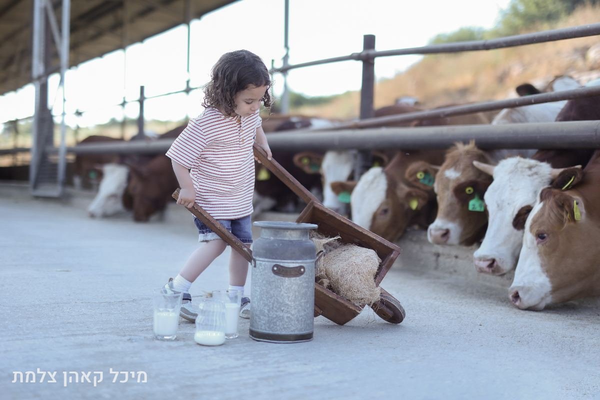 חלאקה - 4